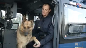 Glisy (80) quand les chiens de la gendarmerie apprennent à voler (Vidéo)