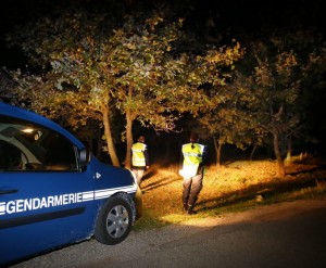 Mobilisation générale contre les voleurs de truffes