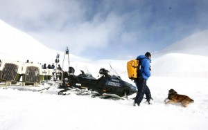 Dans les Alpes, à l’entraînement des chiens d’avalanche de la gendarmerie 004