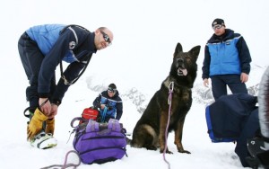 Dans les Alpes, à l’entraînement des chiens d’avalanche de la gendarmerie 005