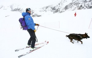 Dans les Alpes, à l’entraînement des chiens d’avalanche de la gendarmerie 006