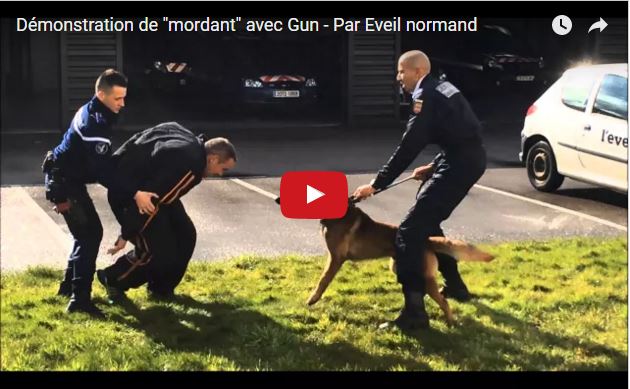 Démonstration de mordant avec Gun Par Eveil normand